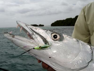 Los Roques 2011