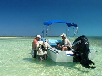 Bahamas - bonefish