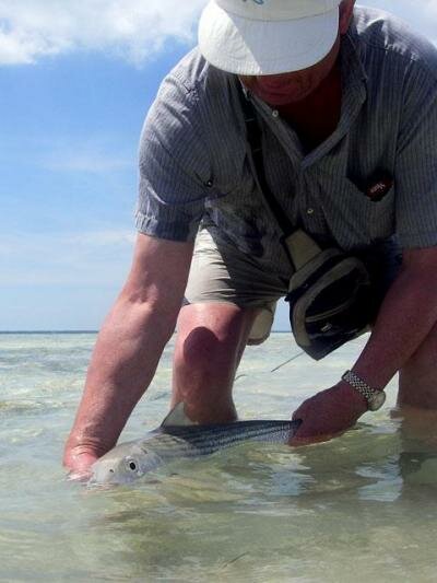 Bahamas - bonefish - knud