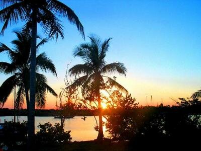 Bahamas - bonefish - sol