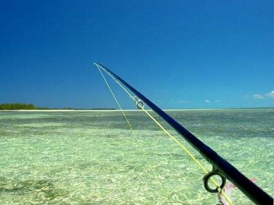 Bahamas - bonefish - flat