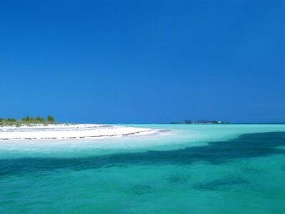 Bahamas - bonefish