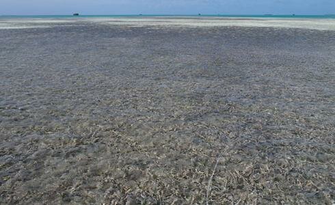 Los Roques 2011