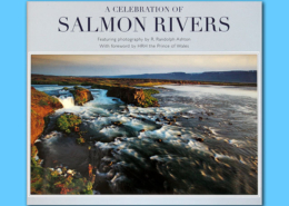 A Celebration of Salmon Rivers
