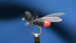 Beginner-Fly-Tying-a-FrostyFly-Flying-Ant-with-Jim-Misiura