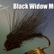 Black-Widow-Muddler-streamer-and-saltwater-fly-tying