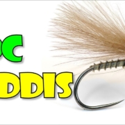 CDC-Biot-Caddis