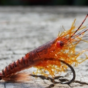 Easy-realistic-orange-shrimp-fly-tying-instructions-by-Ruben-Martin