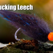 Egg-Sucking-Leech-fly-tying