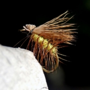 Elk-hair-caddis-fly-tying-instructions-by-Ruben-Martin