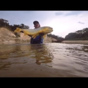 Fly-Fishing-BIG-Dorados-in-Bolivia-Trailer