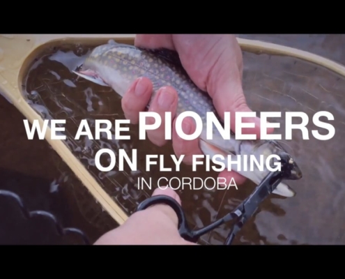 Fly-Fishing-Cordoba-Highlands-Pointer-Fly