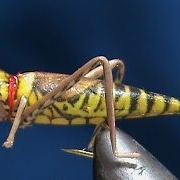 Fly-Tying-a-No-Tie-Realistic-Grasshopper-with-Jim-Misiura