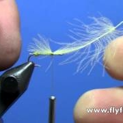 Fly-Tying-with-Dave-Biot-Paraloop-Yellow-Sally