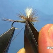 Fly-Tying-with-Hans-Parachute-Adams-Dry-Fly
