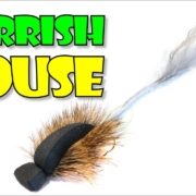 Learn-to-tame-the-hair-on-a-Morrish-MOUSE