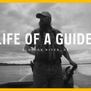 Life-of-a-Guide