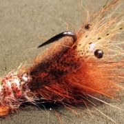 Shrimp-crawfish-fly-tying-instructions-by-Ruben-Martin
