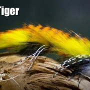 Strip-Tiger-articulated-streamer-fly-tying