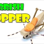 The-Morrish-Hopper-TERRESTRIAL-game-on-point