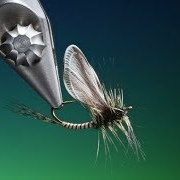 Tying-Origami-wings-with-Barry-Ord-Clarke