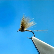 Tying-a-CDC-Quill-Gordon-Dry-Fly-by-Davie-McPhail