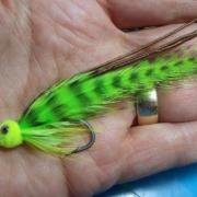 Tying-a-Chartreuse-Baitfish-Fly-with-Davie-McPhail