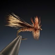 Tying-a-Chuck-Caddis-with-Barry-Ord-Clarke