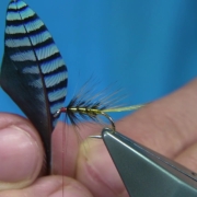 Tying-a-Gold-Invicta-Wet-Fly-with-Davie-McPhail