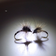 Tying-a-Paraloop-Emerger-with-Davie-McPhail
