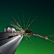 Tying-a-dry-fly-hackle-using-any-type-of-hackle-with-Barry-Ord-Clarke