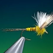 Tying-a-sulphur-no-hackle-dun-with-Barry-Ord-Clarke