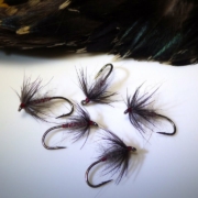 Tying-an-Iron-Blue-Soft-Hackle-by-Davie-McPhail