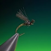 Tying-the-Poly-wing-midge-with-Barry-Ord-Clarke