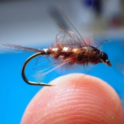 Tying-the-Pot-Scrubber-Nymph-with-Davie-McPhail