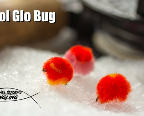 Wool-Glo-Bug-SteelheadSalmon-fly-tying