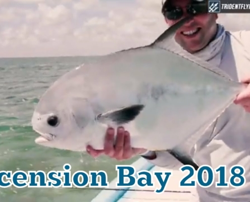 Ascension-Bay-Permit-on-The-Fly