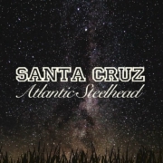 Atlantic-Steelhead-Santa-Cruz-River-Argentina
