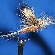 Beginner-Fly-Tying-a-Karls-Tilt-Wing-March-Brown-with-Jim-Misiura