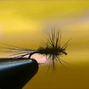 Black-Gnat-Midge-Dry-Fly