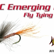 CDC-Emerging-Dun-Fly-Tying-Video-Instructions