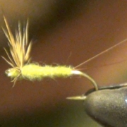 Comparadun-Fly-Tying-Instructions-and-How-To-Tie-Tutorial