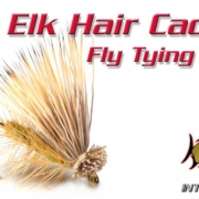 Elk-Hair-Caddis-Fly-Tying-Video-Instructions-and-Directions