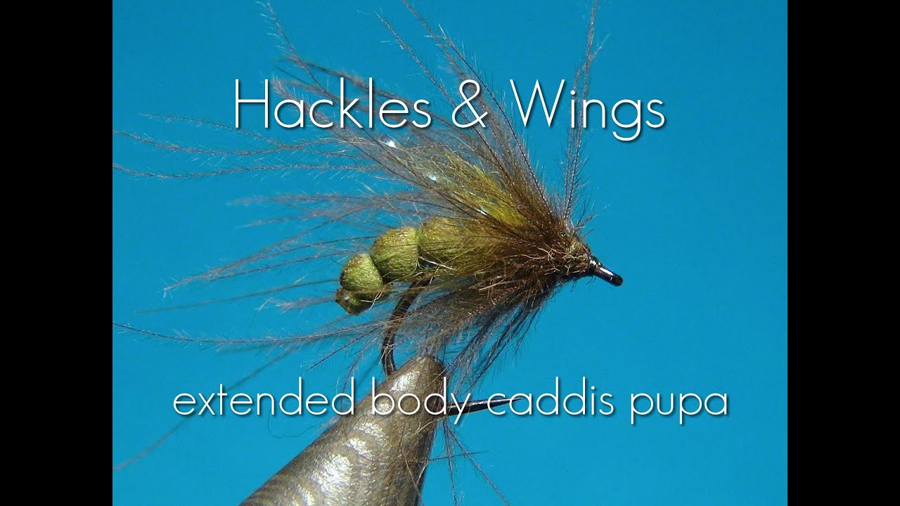 Extended-Body-Caddis-Pupa-Hackles-Wings