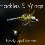 Fly-Tying-Body-Quill-Baetis-Hackles-Wings