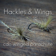 Fly-Tying-CdC-Winged-Parachute-Hackles-Wings