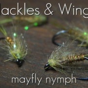 Fly-Tying-Mayfly-Nymph-Hackles-Wings