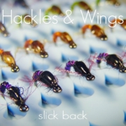 Fly-Tying-Slick-Back-Baetis-Hackles-Wings