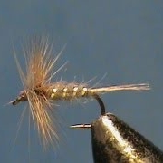 Fly-Tying-a-Classic-the-Blue-Fox-Variant-with-Jim-Misiura
