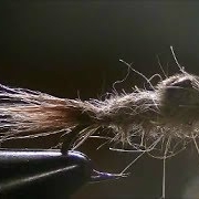 Fly-Tying-a-Gold-Ribbed-Hares-Ear-Nymph